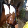 Pain-Free Pads - Image 2