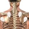 Pain-Free Pads - Image 7