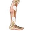 Pain-Free Pads - Image 9