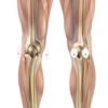 Pain-Free Pads - Image 12