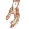 Pain-Free Pads - Image 13